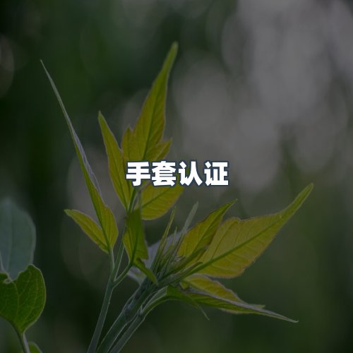 服务优势